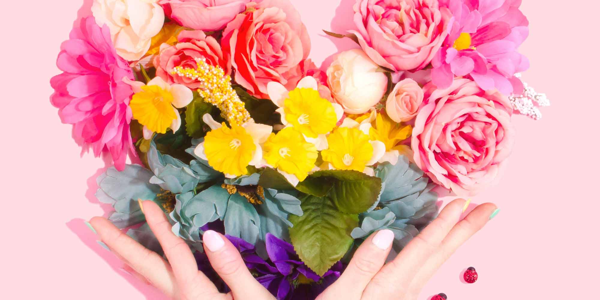 Not a Princess: Adventure and Imagination Not a Princess: Adventure and Imagination